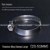 316 Stainless Steel Quick Release Hose Clamp for Pipe Fixing