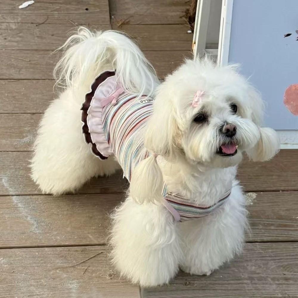 Cute Style Summer Dog Dress Soft Thin Lace Dog Dresses New Teddy Dog Skirt for Small Dogs