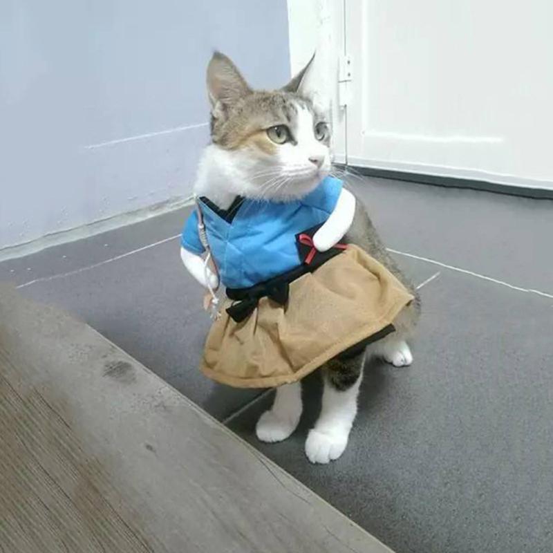 Забавный костюм кошки и собаки, форма, костюм, одежда для щенков, костюм для вечеринок, косплей