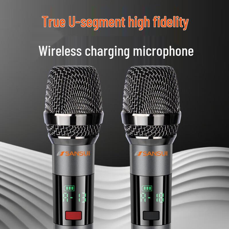 Sansui PQ156 Home KTV & Outdoor Karaoke System