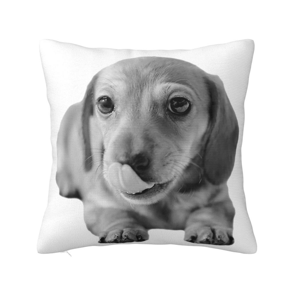 Dachshund Dog Art Throw Pillow Cover Polyester Throw Pillow Wiener Sausage Doxie 4545cm Pillowcase