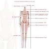Solid Doll Jointed Nude BJD Dolls 1/6 Doll Figure Body Super Model Doll  Girl Toy Accessories