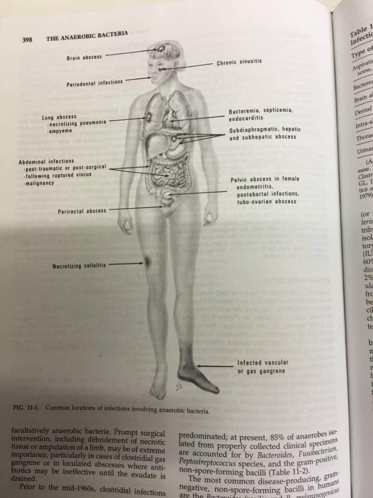 [Б/У] Цветной атлас и учебник по диагностике Медицинские книги