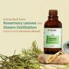 Nat Habit Rosemary Essential Oil - 15ml