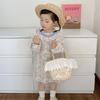 Hand Lace Held Straw Woven Bag With Silk Scarf Handbag For Girl Daily Use