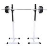 VidaXL Support Barres Haltères Longs Musculation Sport Salle De Gym Maison 90363