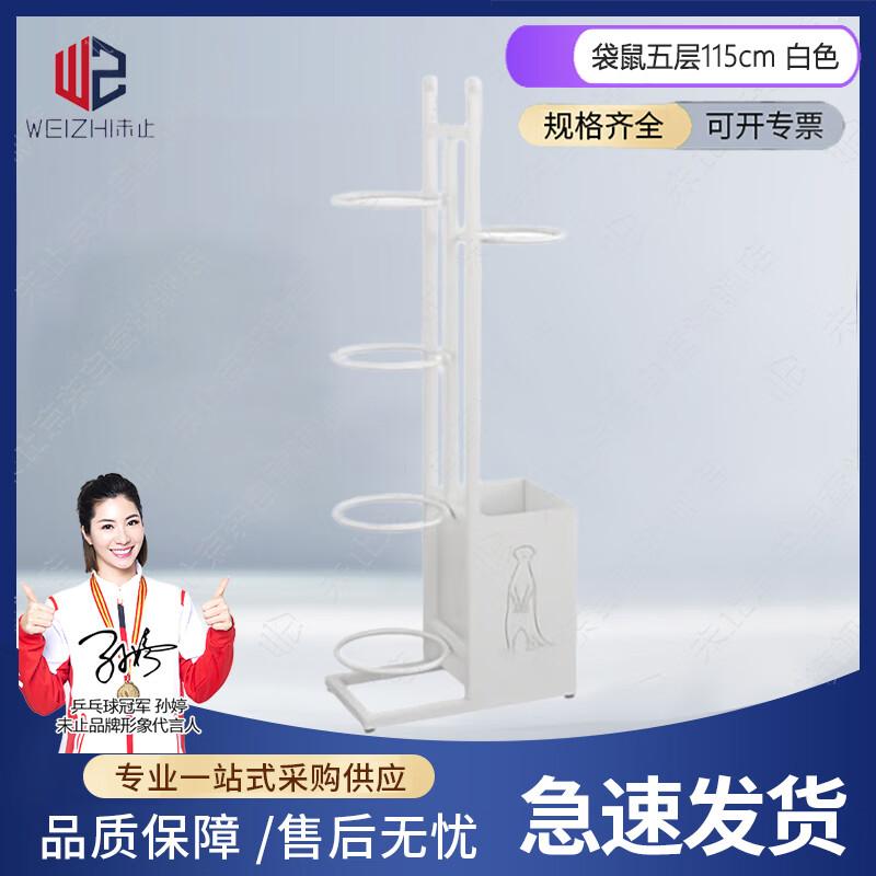Weizhi Multi-Sport Ball & Equipment Storage Rack