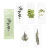 Book Note Marker PET Bookmarks Card Specimen Bookmarks Nature Plants Bookmarks Translucent Flower