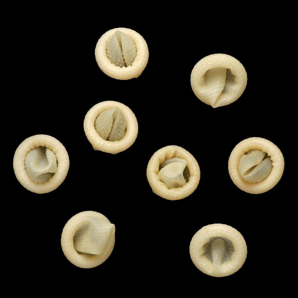 Reusable Nail Art Tool Natural Latex White Finger Cots Finger Cover Protector Gloves Rubber Gloves