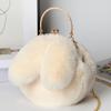 Plush Rabbit Bag Women Cute Handheld Plush Bag Autumn Winter Girls Chain Crossbody Bags Rabbit Ear Clip Bag