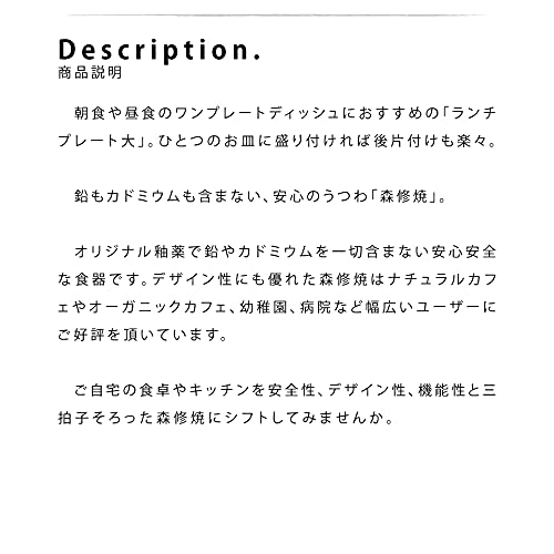 Mori Osamu Ware (Shinshuyaki) Large Lunch Plate, Diameter 265mm X Height 30mm (Made In Japan, Microwave Safe, Far Infrared, Negative Ion)