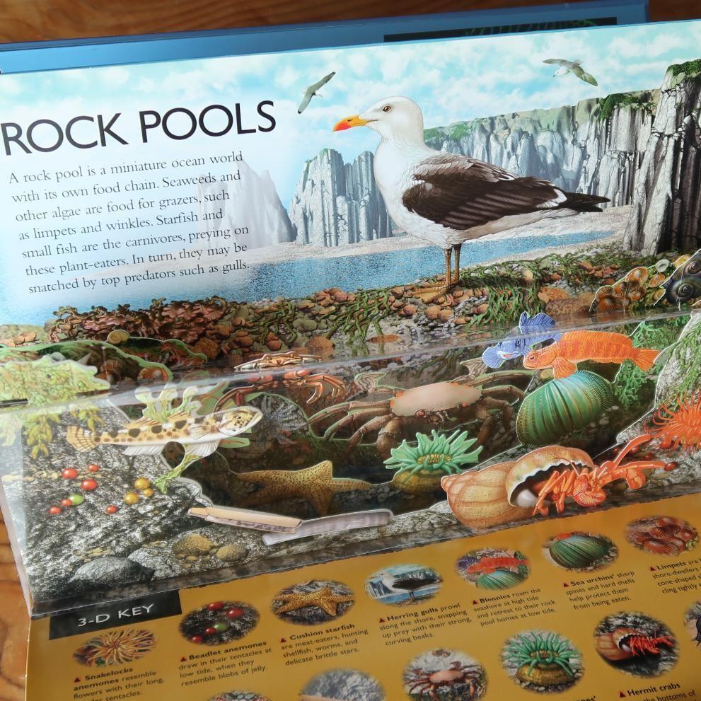 [USED] Sale! 3-D Explorer: Oceans - A guide to the mysteries of the ocean