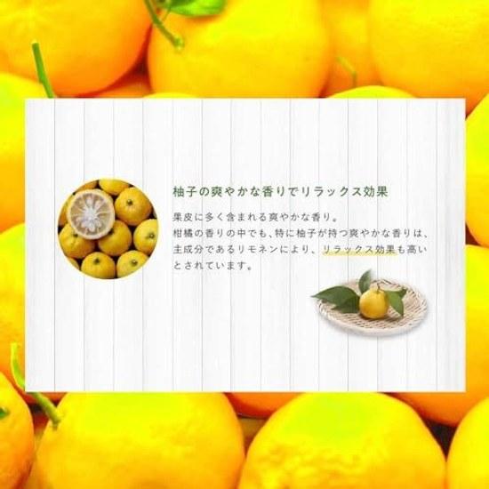 Savex Stick Lip Cream Yuzu Japan Exclusive