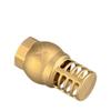 Strong Metal Bottom Valve Anti Backflow Check Valve Brass Strainer Filter  Direct Supply