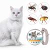 38/62CM Collar Dogs Cats Ticks And Flea Treatment 8 Months Pets Protection