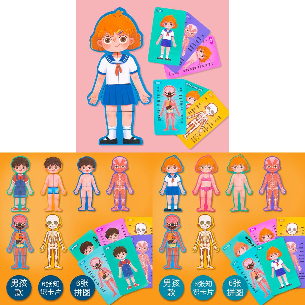 Деревянная структура тела Puzzle Для детей Образовательная развивающая игрушка Для мальчиков и девочек
