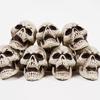 10Pcs Halloween Skeleton Decor Mini Skulls for Party Realistic Skull Props Thrilling Table Decoration