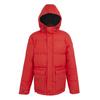 Regatta Mens Falkner Padded Jacket