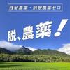Organic Yakushima Natural Cultivation Green Tea Powder Second Flush 120g Pesticide-Free Chemical Fertilizer-Free Residual Pesticide Drift Zero