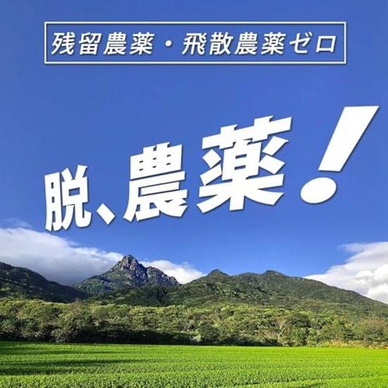 Organic Yakushima Natural Cultivation Green Tea Powder Second Flush 120g Pesticide-Free Chemical Fertilizer-Free Residual Pesticide Drift Zero