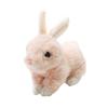 Take Off Rabbit Maron Rex Pink