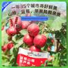 Wei Ling Deer Team Blueberry Hawthorn Gourd String Snacks
