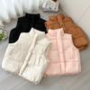 New Cotton Vest Autumn and Winter Versatile Fashion Foreign Korean Version Loose Girls Vest Vest Jacket