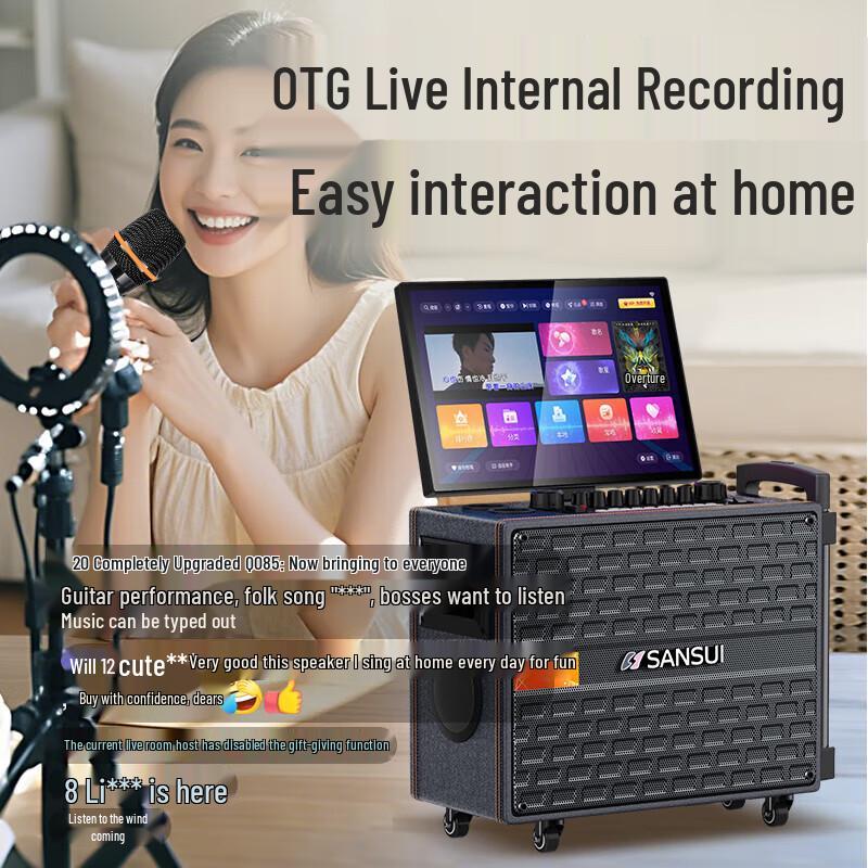 Sansui Q085 Portable KTV Bluetooth Speaker System