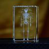 3D Кристаллическая модель анатомии человеческого скелета Лазерная гравировка Медицинский обучающий инструмент Научный подарок для врачей Медицинское искусство Подарок