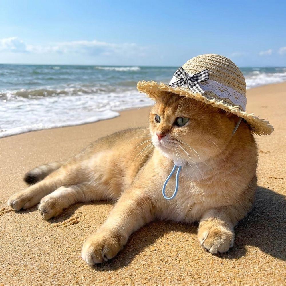 Adjustable Chin Strap Cat Straw Hat Breathable Sun Protection Hat Pet Lace Bow Hat Photo Props