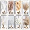 Source Yunnan Dried Flower Bouquet Combination, Real Flower Pampas Grass Home Decoration Reed Rabbit Tail Grass Dried Flowers
