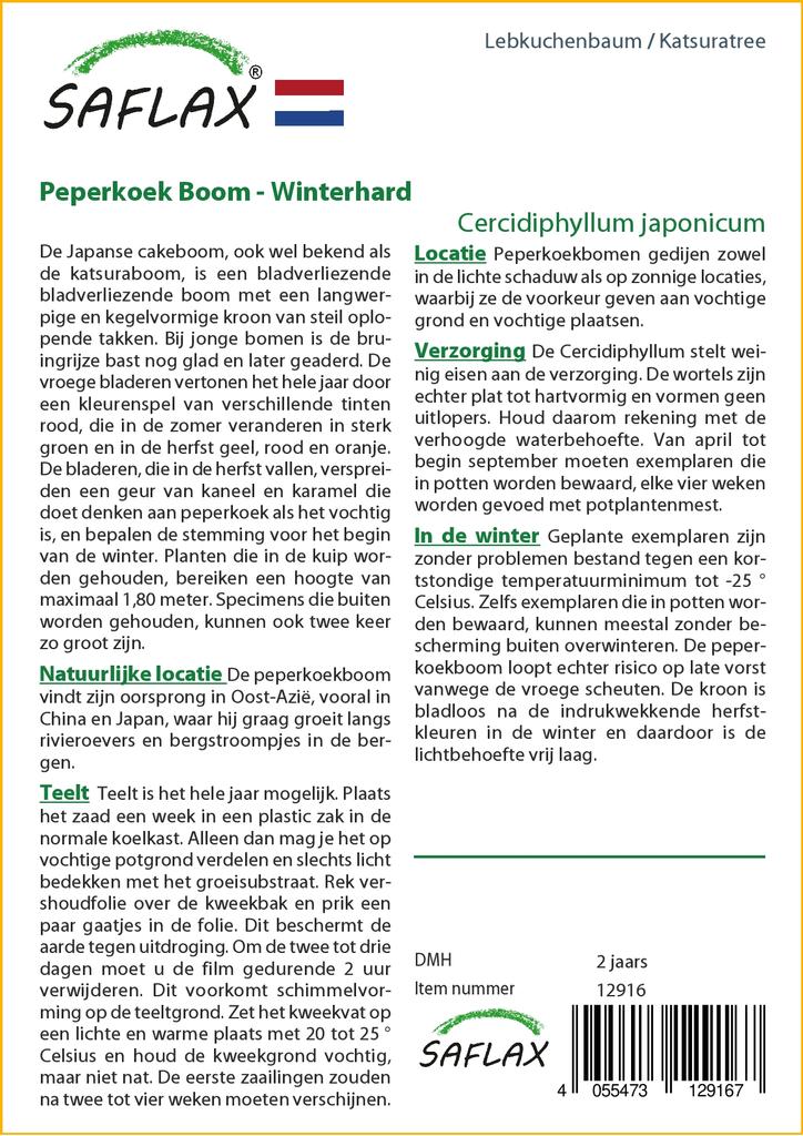 SAFLAX Кацуратри - 200 семян - Cercidiphyllum japonicum
