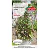 Malabar Spinach 10 PCS Fresh PREMIUM Vegetable Seeds