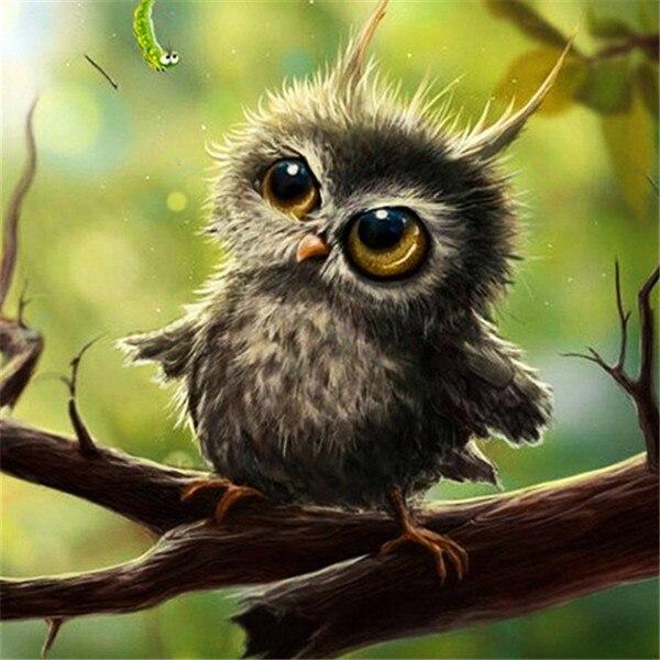 50X50CM Diy Алмазная картина Сова 5D Алмазная мозаика Распродажа Мультфильм Фотографии Стразами Вышивка Декор для дома