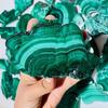 Polished Malachite Slice Coaster - Raw Natural Crystal Mineral Specimen