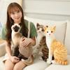 Home Decoration Siamese Cat Orange Cat Gift Pillow Plush Toys Simulation Cat Toy Simulation Doll