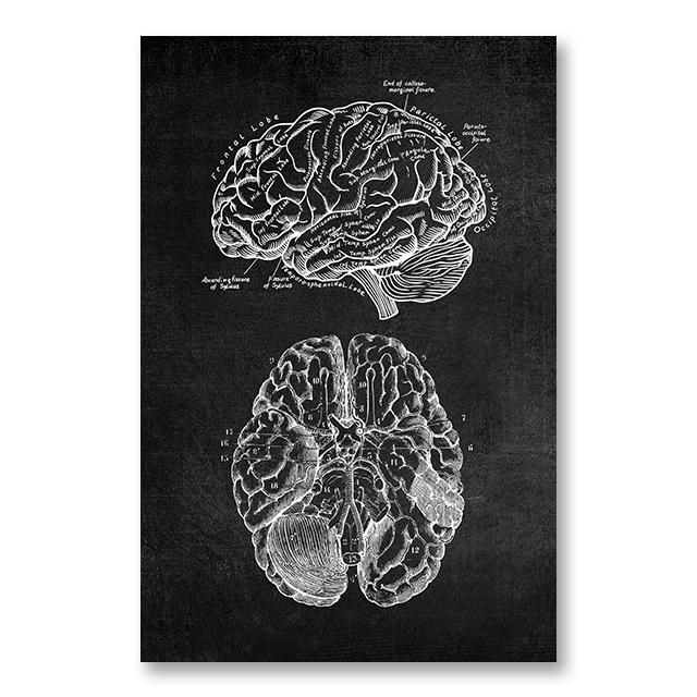 Анатомия человека, холст, картина, скелетное сердце, картина, украшение, плакат, подарок, спальня, настенные художественные принты, современный домашний декор, эстетический