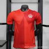 2026 World Cup Argentina Spain Germany Belgium Soccer Jersey Men Women Short Sleeve Football Shirt Player Version