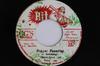 Пластинка 7 дюймов SHEENA SPIRIT  THE THIRD EYES  SH  Reggae Pounding NONE HIT 1977 Ямайка Reggae Ska  Dub Б/у