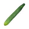 Realistic Simulation Vegetables Ornament Soft and Safe Rtificial Fake Eggplant Cucumber Ornament Replicas for Display
