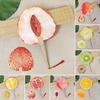 Fruit Print Fan with Wooden Long Handle Portable Lightweight Outdoor Travel Camping Picnic Summer Handheld Round Paper Fan