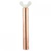 Copper Ionizer Purifier Filter For Most Pool Ionizer Models