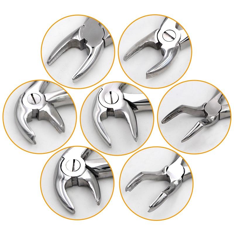 7pcs/set Stainless Steel Dental Children's Tooth Extraction Forcep Pliers Kit Dental Plier Kit Dental Product