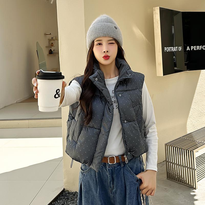 Женская осенне-зимняя однотонная утолщенная верхняя одежда с хлопковой подкладкой и воротником-стойкой, теплая куртка без рукавов, пальто, жилет