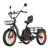 Грузовой электрический трехколесный велосипед Cheevalry CF750, двигатель 750 Вт, аккумулятор 48 В 20 Ач, 20-дюймовые грузовые шины, грузоподъемность 130 кг, скорость 25 км/ч, складной электровелосипед для взрослых