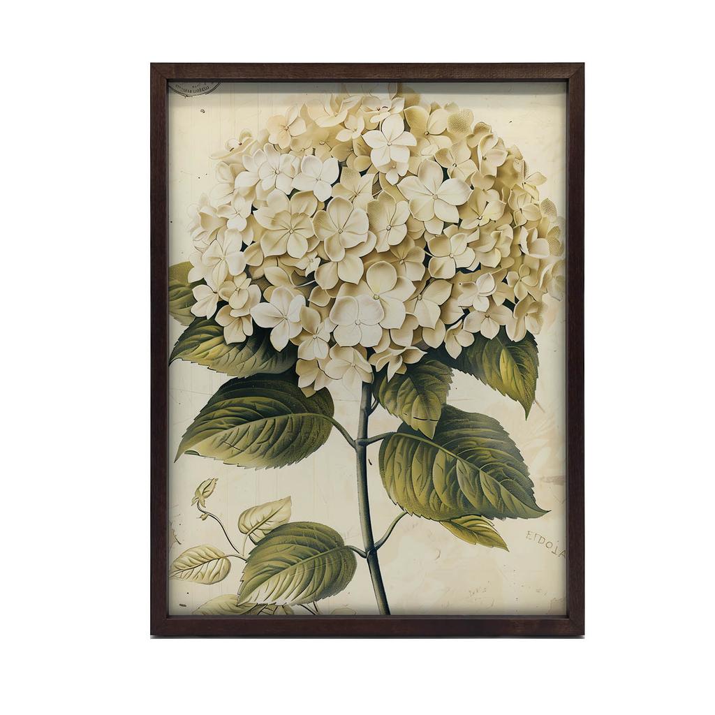 Klasyczna Hortensja Klasyczna Hortensja, 50X70 Cm, Bez Ramy, Papier Matowy 230 Gsm
