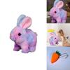 Electronic Plush Rabbit Toy With Sound And Motion For Kids Educational Interactive Play