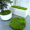 Искусственный мох Имитация мха Декоративное покрытие Зеленые Искусственные Наземные Растения для Дома