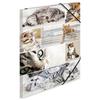 Herma Elasticated Cardboard Folder A3 Animals (Cats)