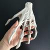 1 Pair Halloween Skeleton Hand Realistic Life Size Reusable Haunted House Ghost Festival Spooky Props Holiday Decoration Zombie Hand Party Supplies